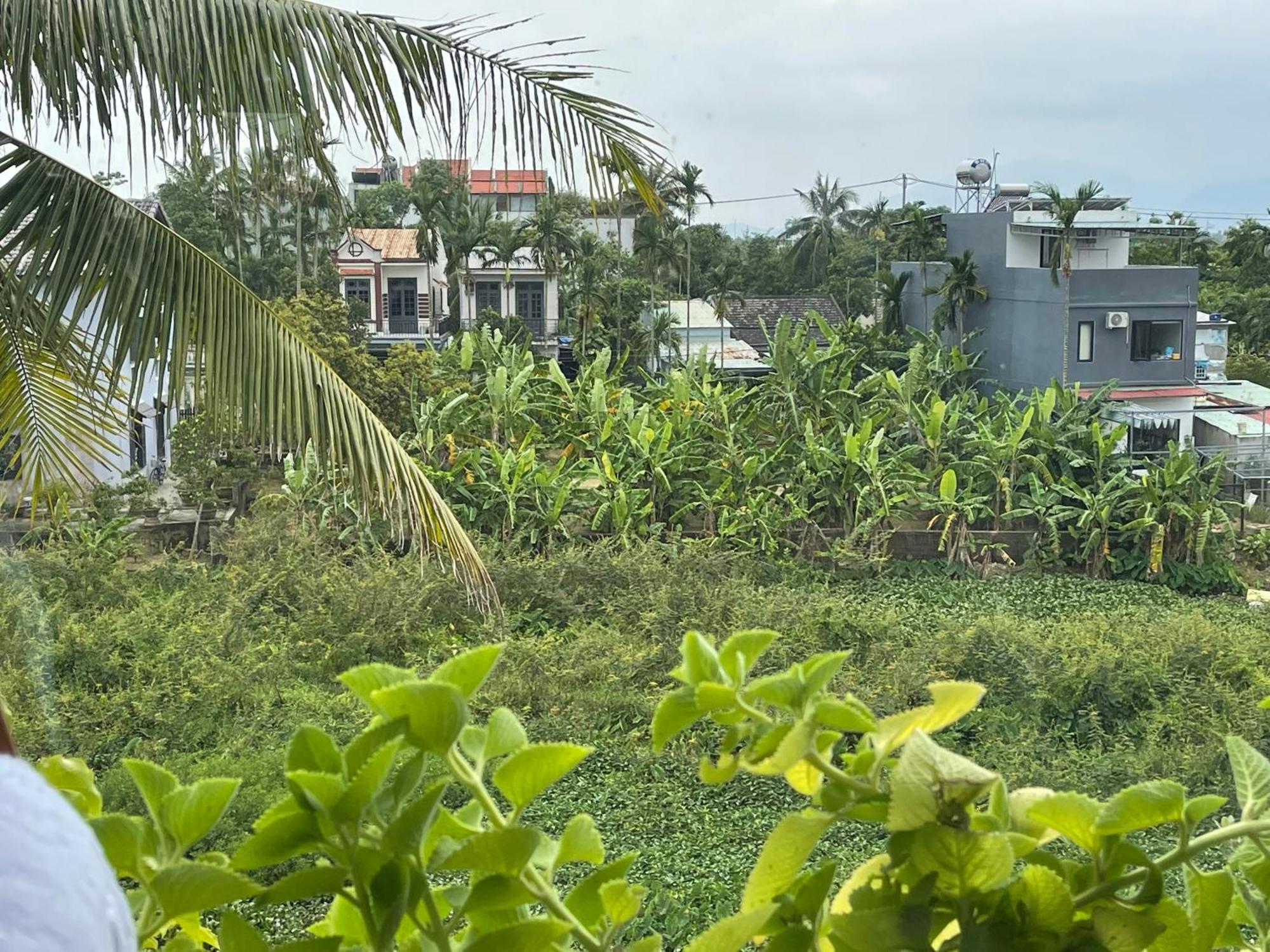 Hoi An Ti Hon House Βίλα Εξωτερικό φωτογραφία
