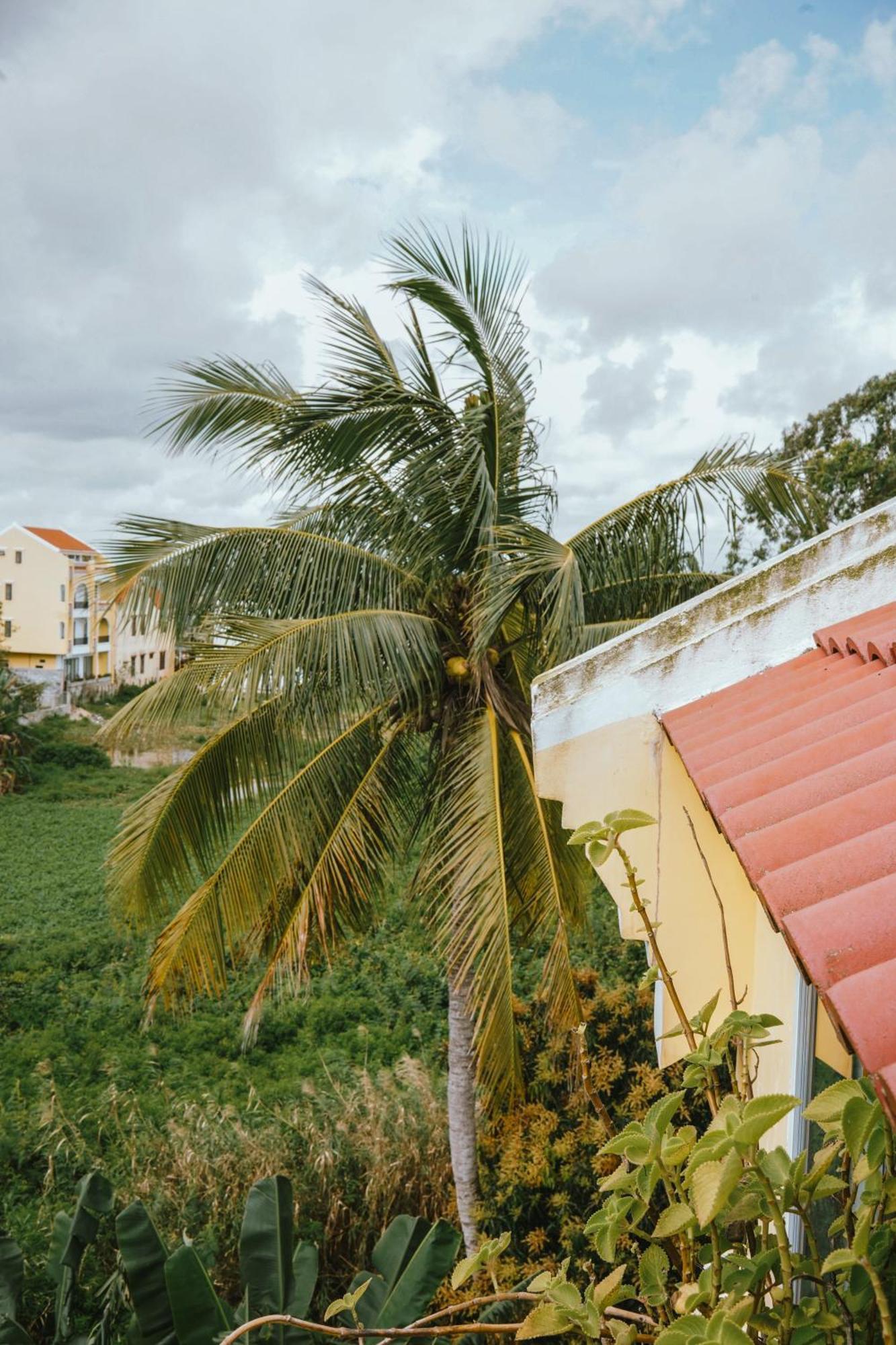 Hoi An Ti Hon House Βίλα Εξωτερικό φωτογραφία